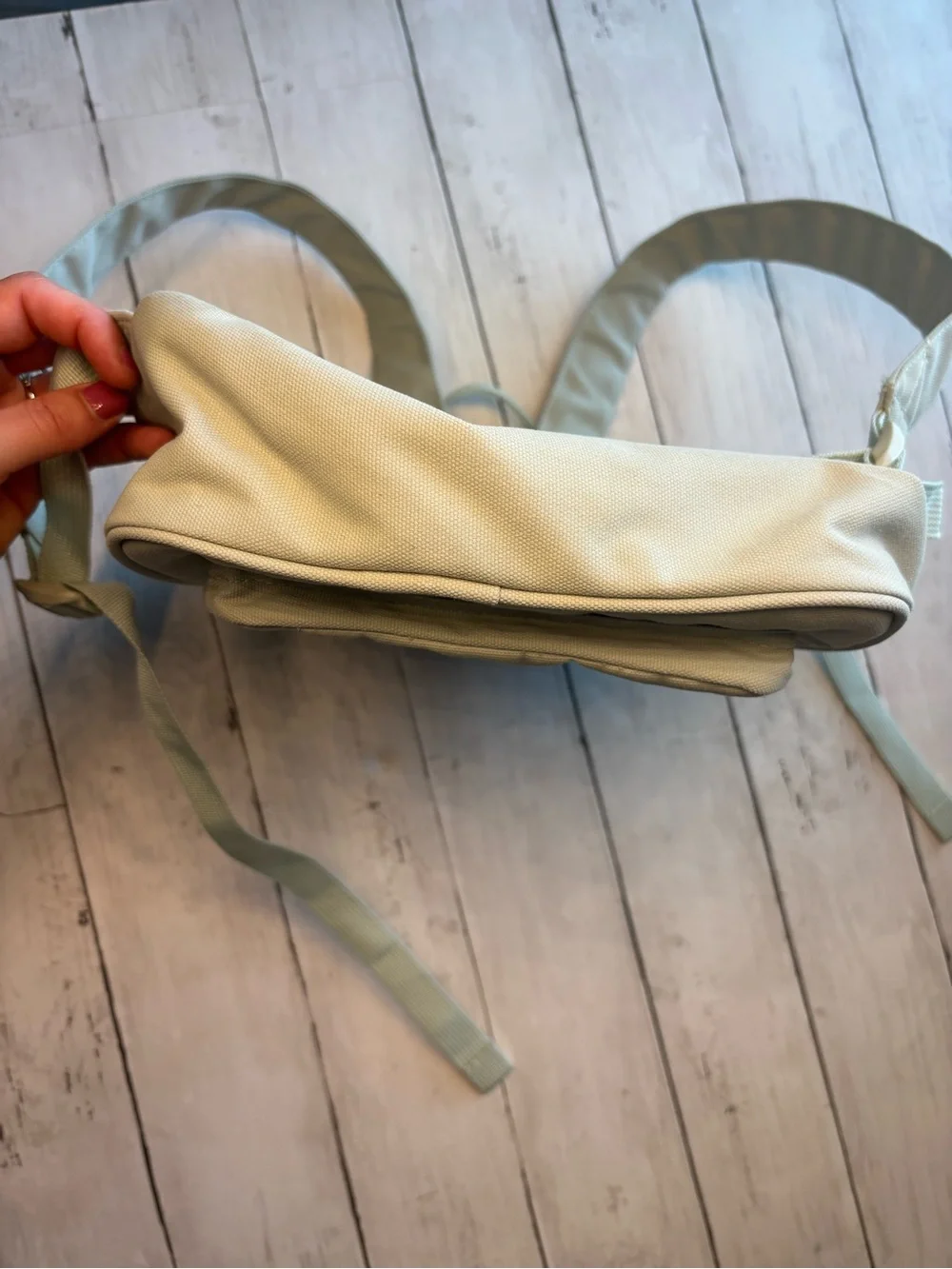 Dakine Everyday Backpack Bag in Sage